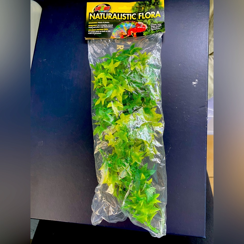 zoo med naturalistic flora - congo Ivy